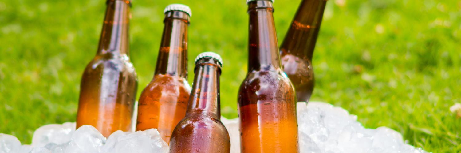 beer bottles in ice with grass in the background
